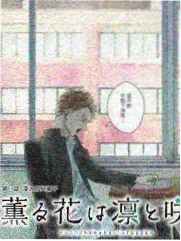 橘子TV 综艺 美食之旅